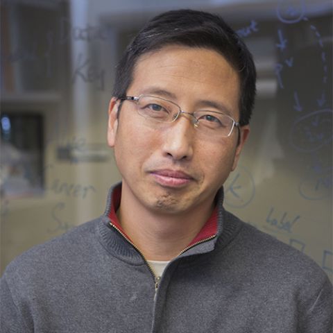 Headshot of Peng Liu