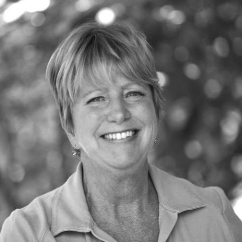 Headshot of Amy Stever