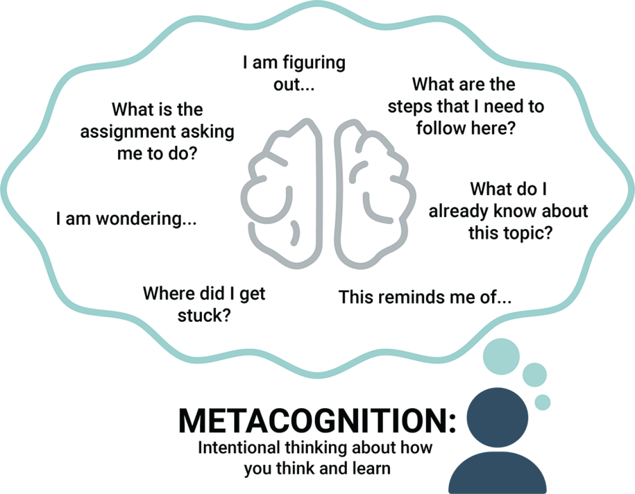 Graphic of the brain and notes on metacognition