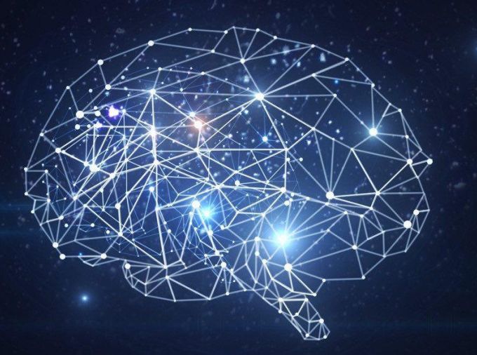 Graphic representation of data in the shape of a human brain.