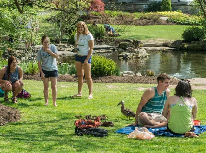 Students on a lawn near a pond with ducks and trees