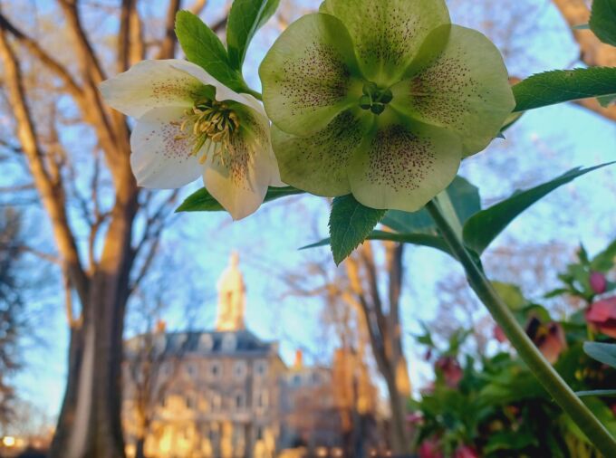<p>Thank you to all who participated in the 2025 Penn State Today spring photo contest! We received an incredible selection of photos showcasing spring at Penn State. The winning photo was submitted by Bethany Stitzer, an undergraduate student studying biomedical engineering at University Park, and highlights spring blossoms surrounding Old Main on a quiet April morning. See more top submissions, as selected by Penn State Today editors, in this photo gallery. </p>
