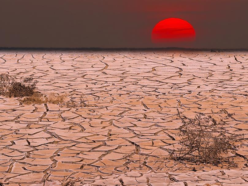 International consortium to better assess Africa drought risks, boost resilience
