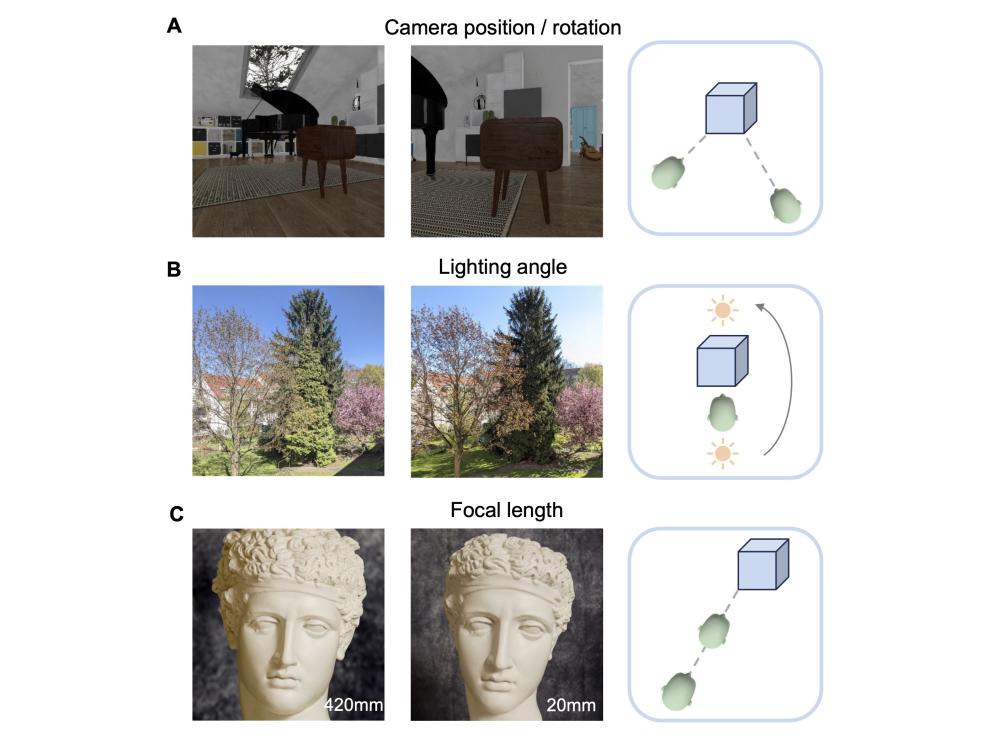 figure from scientific paper