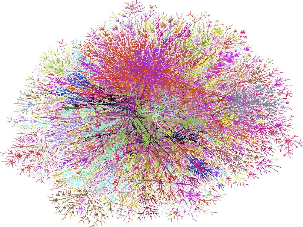 network science image