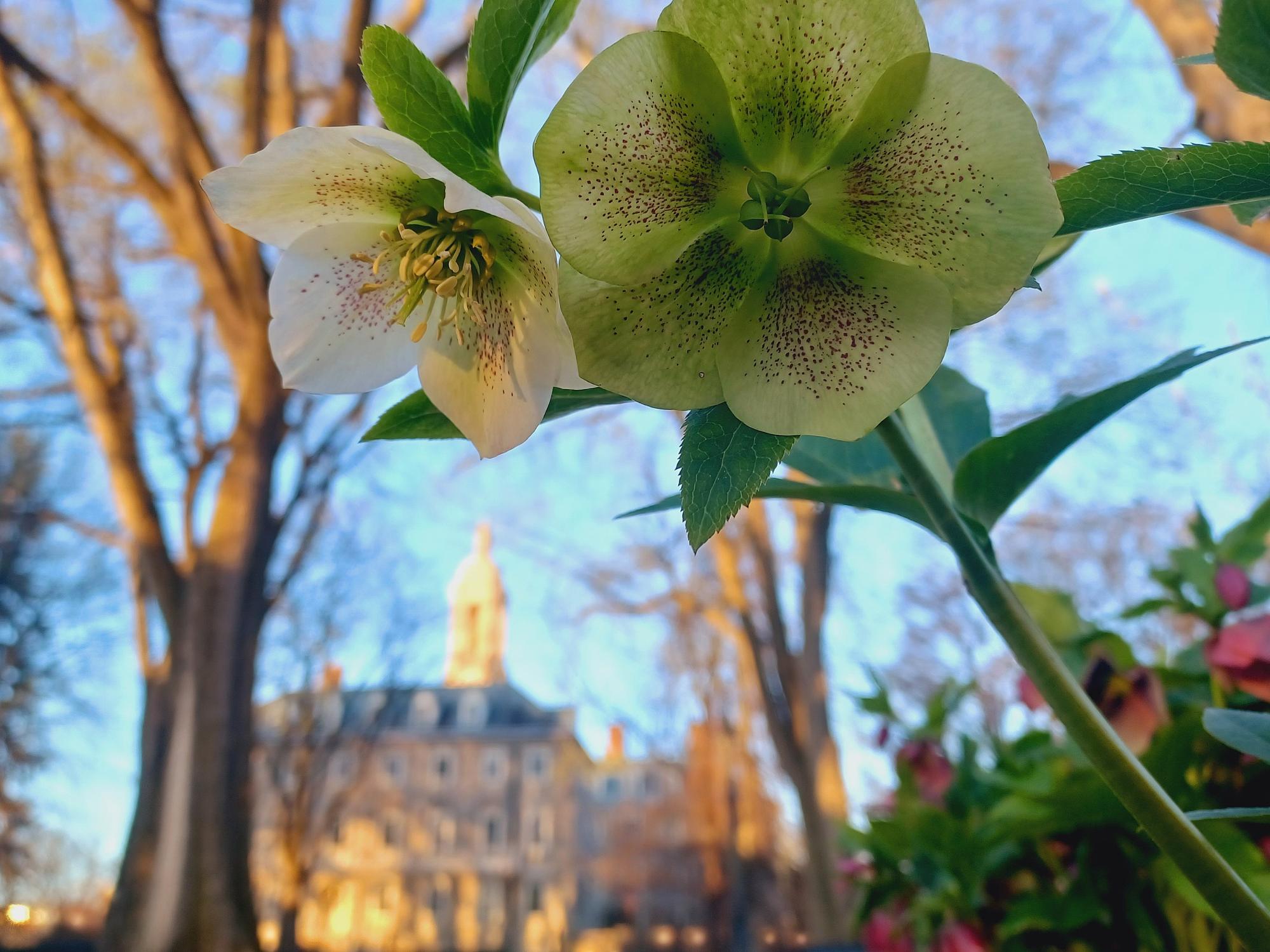  Top pictures from the 2025 Penn State Today spring photo contest 